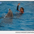 Marineland - Dauphins - Spectacle 14h45 - 0070