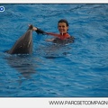 Marineland - Dauphins - Spectacle 14h45 - 0071