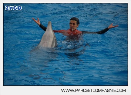 Marineland - Dauphins - Spectacle 14h45 - 0072