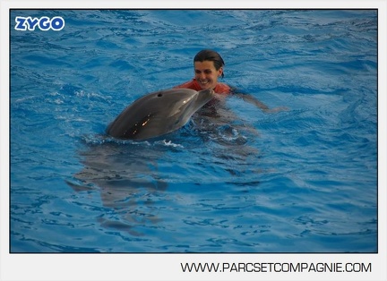 Marineland - Dauphins - Spectacle 14h45 - 0074