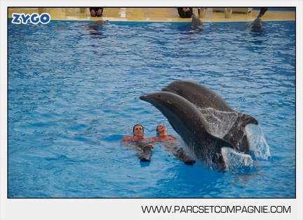 Marineland - Dauphins - Spectacle 14h45 - 0075
