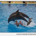 Marineland - Dauphins - Spectacle 14h45 - 0076