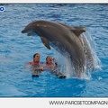 Marineland - Dauphins - Spectacle 14h45 - 0077