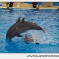 Marineland - Dauphins - Spectacle 14h45 - 0078