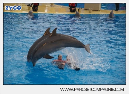 Marineland - Dauphins - Spectacle 14h45 - 0078