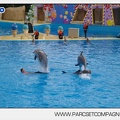 Marineland - Dauphins - Spectacle 14h45 - 0079
