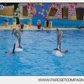 Marineland - Dauphins - Spectacle 14h45 - 0081