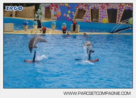 Marineland - Dauphins - Spectacle 14h45 - 0082