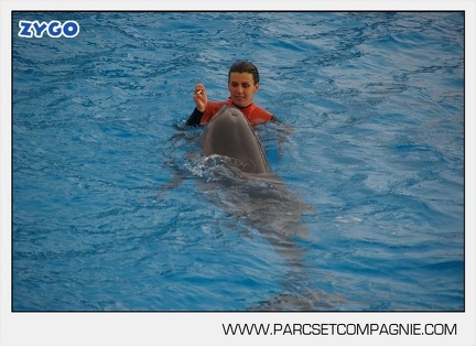 Marineland - Dauphins - Spectacle 14h45 - 0083