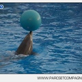Marineland - Dauphins - Spectacle 14h45 - 0084
