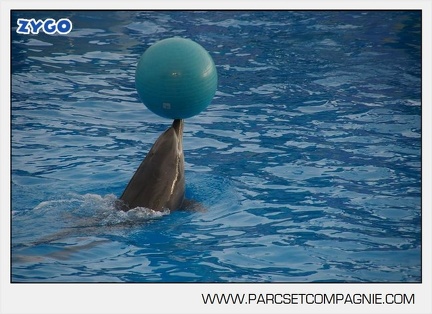 Marineland - Dauphins - Spectacle 14h45 - 0084