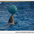 Marineland - Dauphins - Spectacle 14h45 - 0085