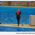 Marineland - Dauphins - Spectacle 14h45 - 0086