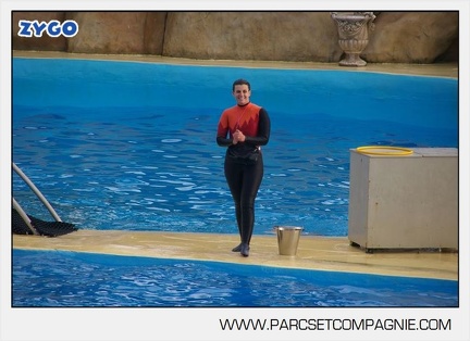 Marineland - Dauphins - Spectacle 14h45 - 0086