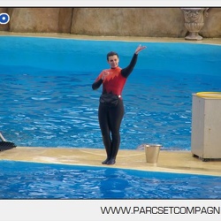 Marineland - Dauphins - Spectacle 14h45