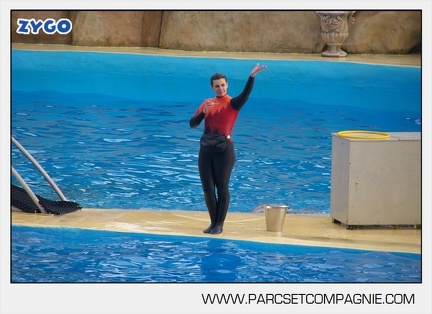 Marineland - Dauphins - Spectacle 14h45 - 0087