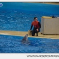 Marineland - Dauphins - Spectacle 14h45 - 0088