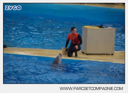 Marineland - Dauphins - Spectacle 14h45 - 0088