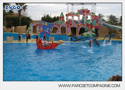 Marineland - Dauphins - Spectacle 14h45 - 0096