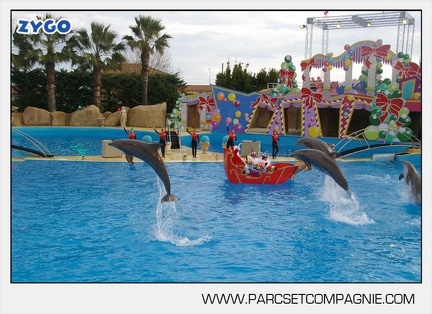 Marineland - Dauphins - Spectacle 14h45 - 0097
