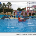 Marineland - Dauphins - Spectacle 14h45 - 0098