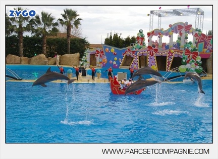 Marineland - Dauphins - Spectacle 14h45 - 0098