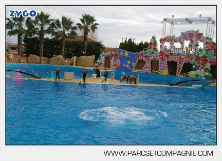 Marineland - Dauphins - Spectacle 14h45 - 0102