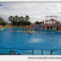 Marineland - Dauphins - Spectacle 14h45 - 0104