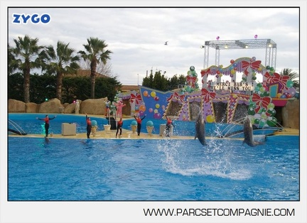 Marineland - Dauphins - Spectacle 14h45 - 0107