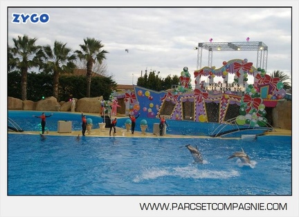 Marineland - Dauphins - Spectacle 14h45 - 0108