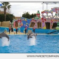 Marineland - Dauphins - Spectacle 14h45 - 0109