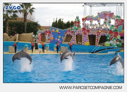 Marineland - Dauphins - Spectacle 14h45 - 0109