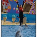Marineland - Dauphins - Spectacle 14h45 - 0116