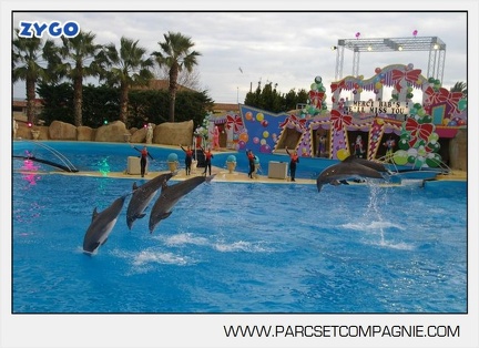 Marineland - Dauphins - Spectacle 14h45 - 0121