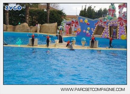 Marineland - Dauphins - Spectacle 14h45 - 0122