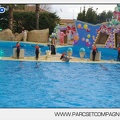 Marineland - Dauphins - Spectacle 14h45 - 0123