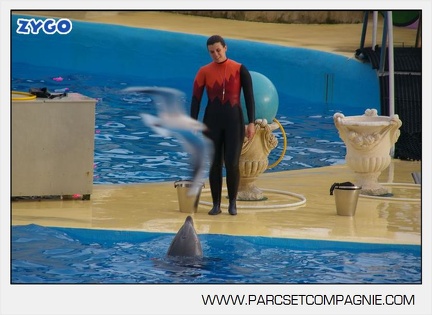 Marineland - Dauphins - Spectacle 14h45 - 0124