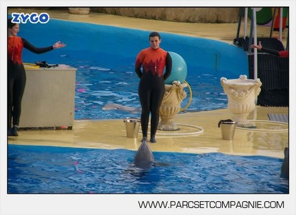 Marineland - Dauphins - Spectacle 14h45 - 0125