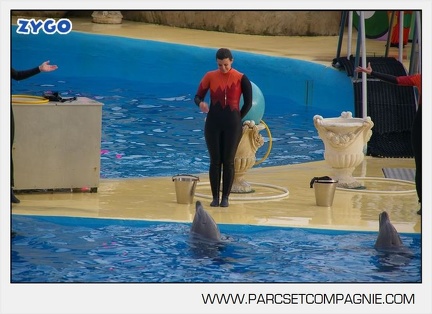 Marineland - Dauphins - Spectacle 14h45 - 0127