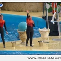 Marineland - Dauphins - Spectacle 14h45 - 0128