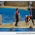 Marineland - Dauphins - Spectacle 14h45 - 0129