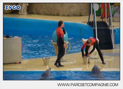 Marineland - Dauphins - Spectacle 14h45 - 0129