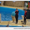 Marineland - Dauphins - Spectacle 14h45 - 0130