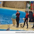 Marineland - Dauphins - Spectacle 14h45 - 0132