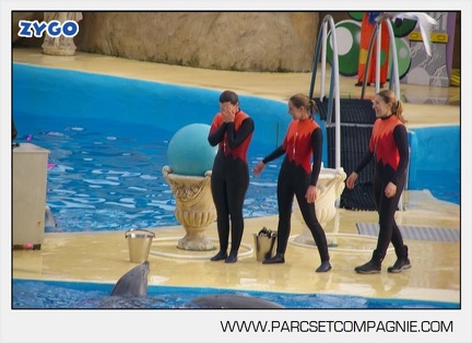 Marineland - Dauphins - Spectacle 14h45 - 0133