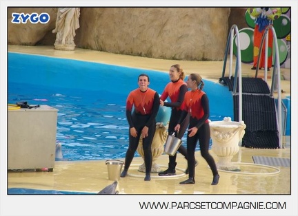 Marineland - Dauphins - Spectacle 14h45 - 0134