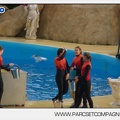 Marineland - Dauphins - Spectacle 14h45 - 0135