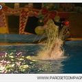 Marineland - Dauphins - Spectacle 17h30 - 0138