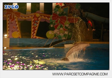 Marineland - Dauphins - Spectacle 17h30 - 0139