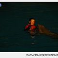 Marineland - Dauphins - Spectacle 17h30 - 0140